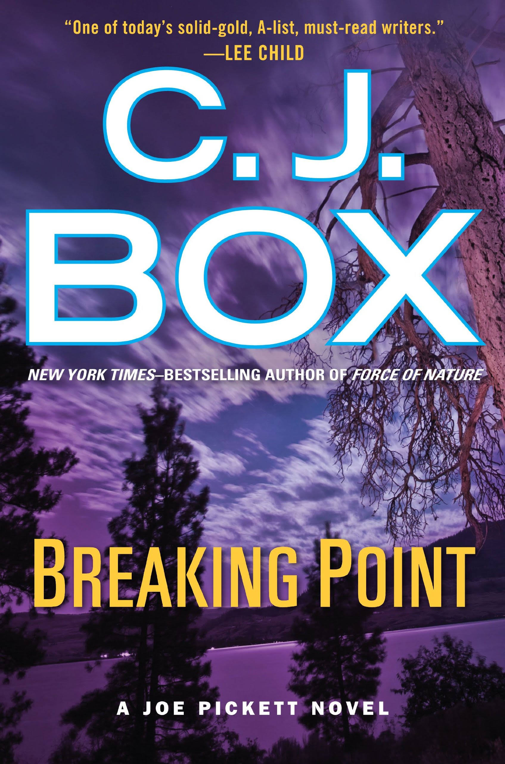 Breaking Point - C J Box