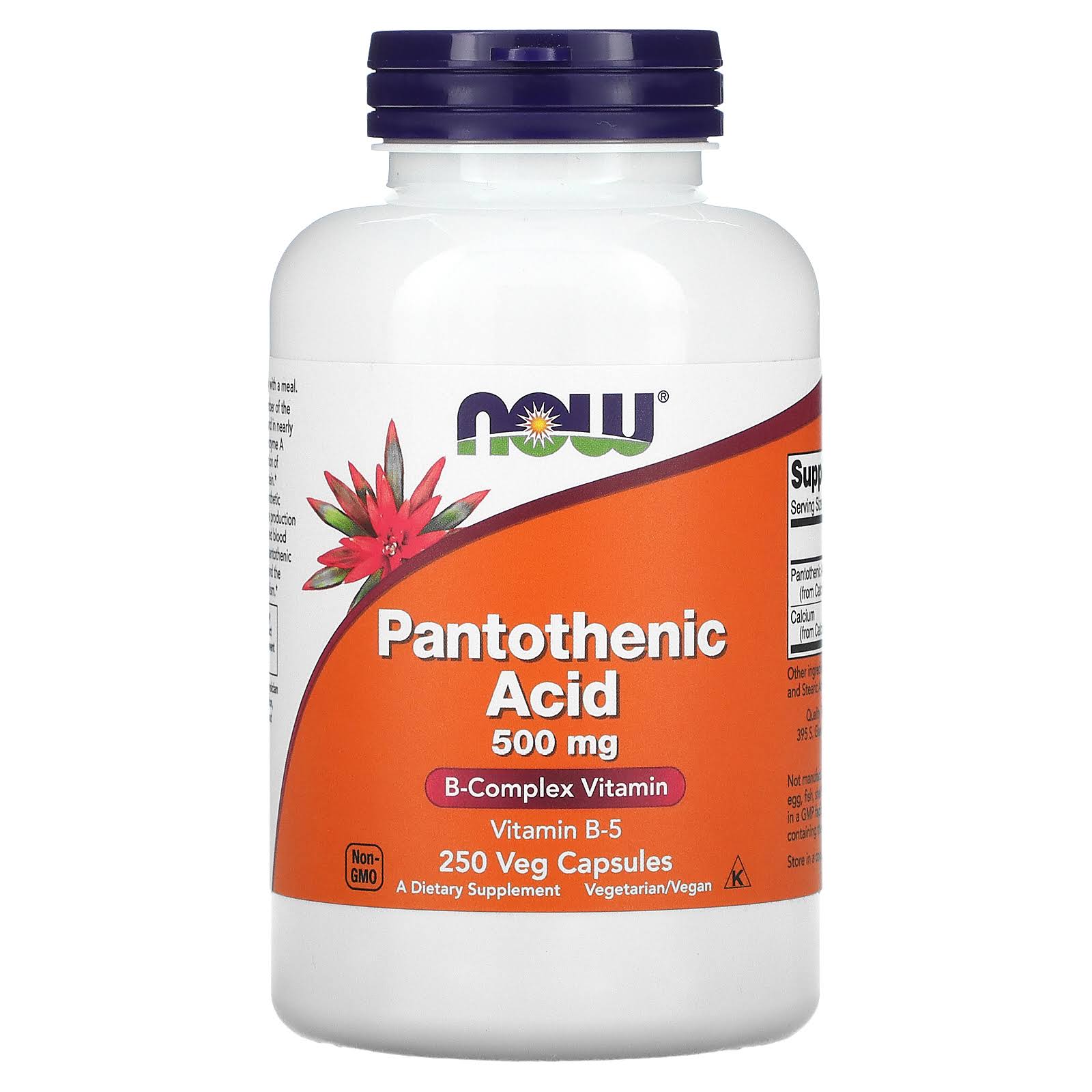 Now Foods Pantothenic Acid Supplement - 250ct, 500mg