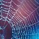 Scientists have invented self-spooling 'liquid wire' that acts like spider silk 