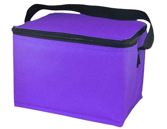 Easylunchboxes Insulated Lunch Box Cooler Bag, Purple