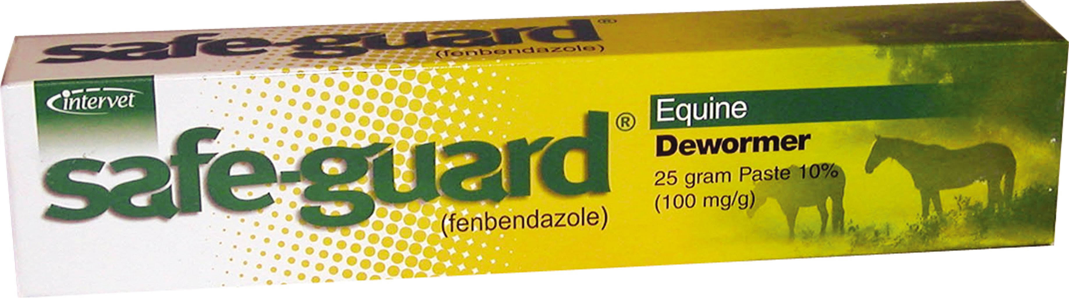 Merck Safe-Guard Equine Dewormer Paste - 25g