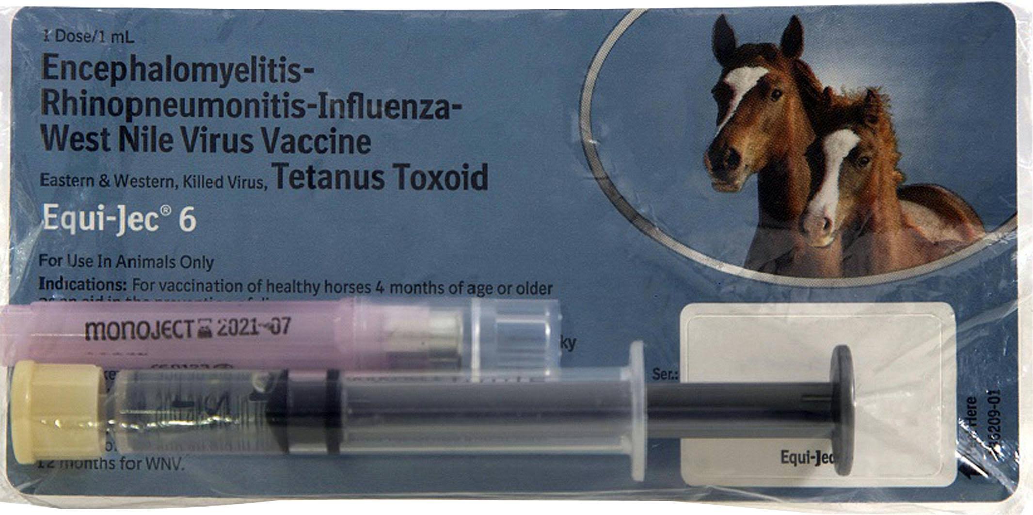 Boehringer Ingelheim Equi-Jec 6 Equine Vaccine