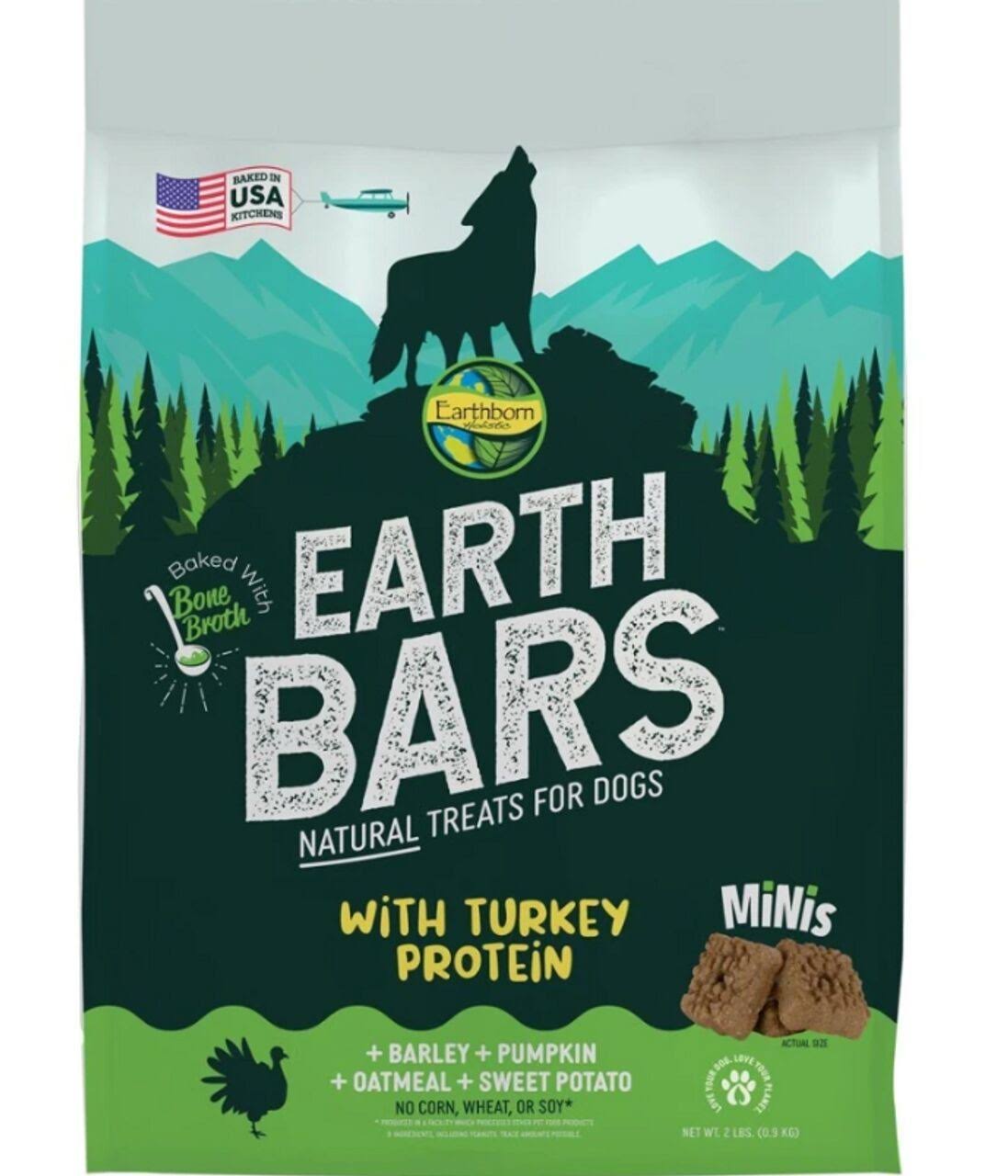 Earthborn Holistic EarthBars Dog Biscuits - Turkey - 10 oz