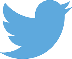 Image result for twitter logo