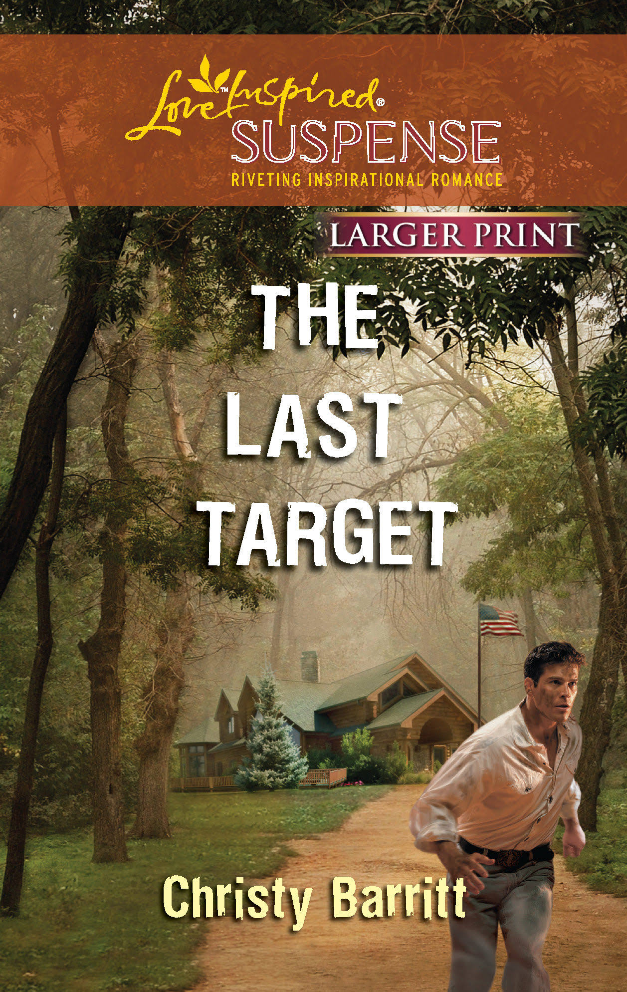 The Last Target [Book]