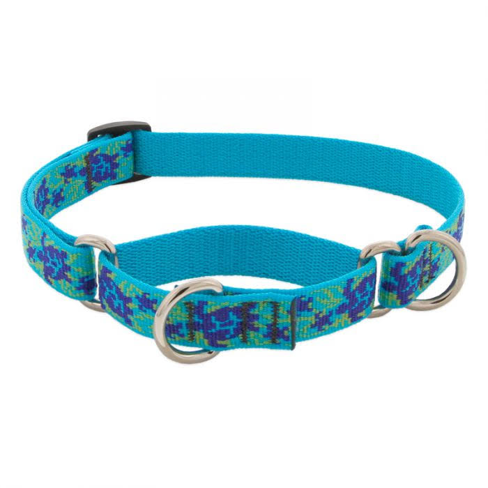 LupinePet Originals 3/4" Turtle Reef 10-14" Martingale Collar for Small Dogs