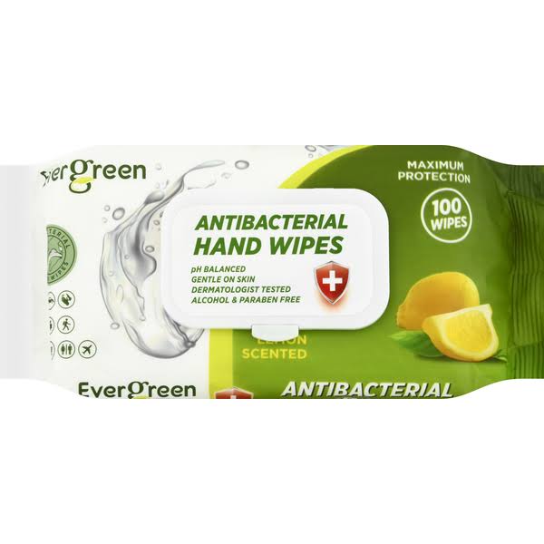 Evergreen Antibacterial Hand Wipes - 100 Count - Greenbay Marketplace - Delivered by Mercato