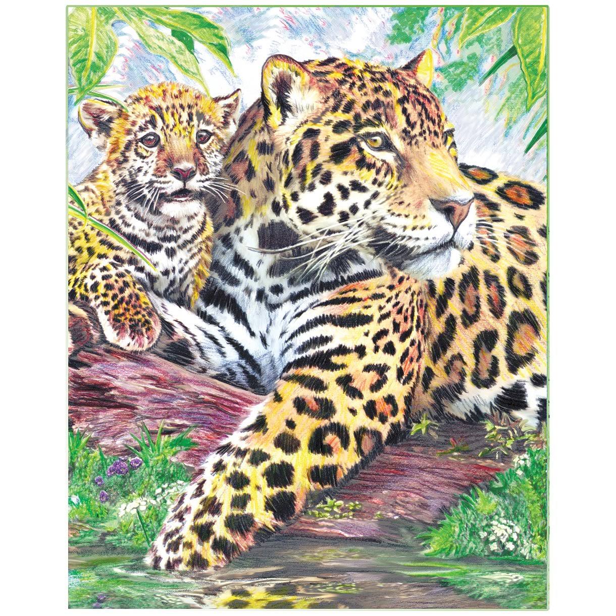 Royal Brush Color Pencil by Number Kit 8.75"X11.75" Jaguar Family