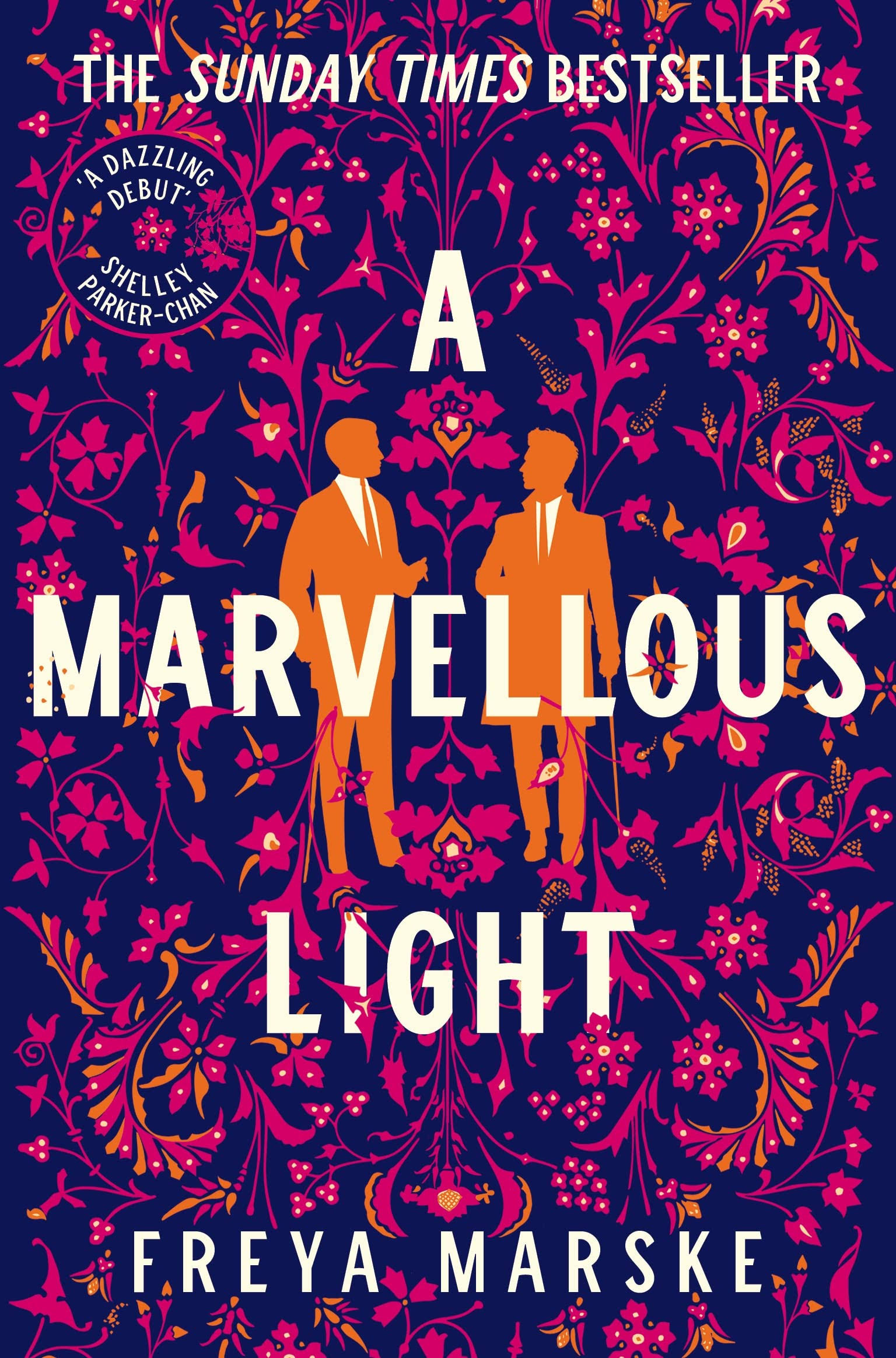 A Marvellous Light [Book]