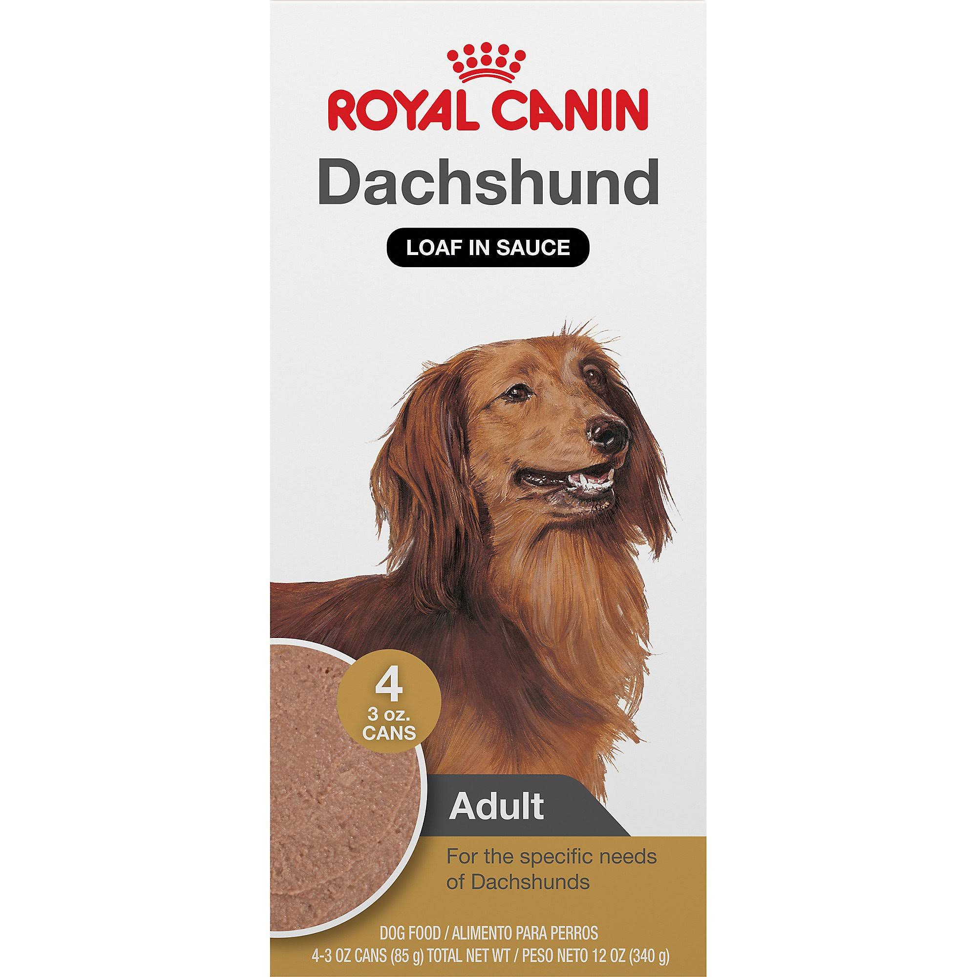 Royal Canin Breed Health Nutrition Dachshund Adult Wet Dog Food