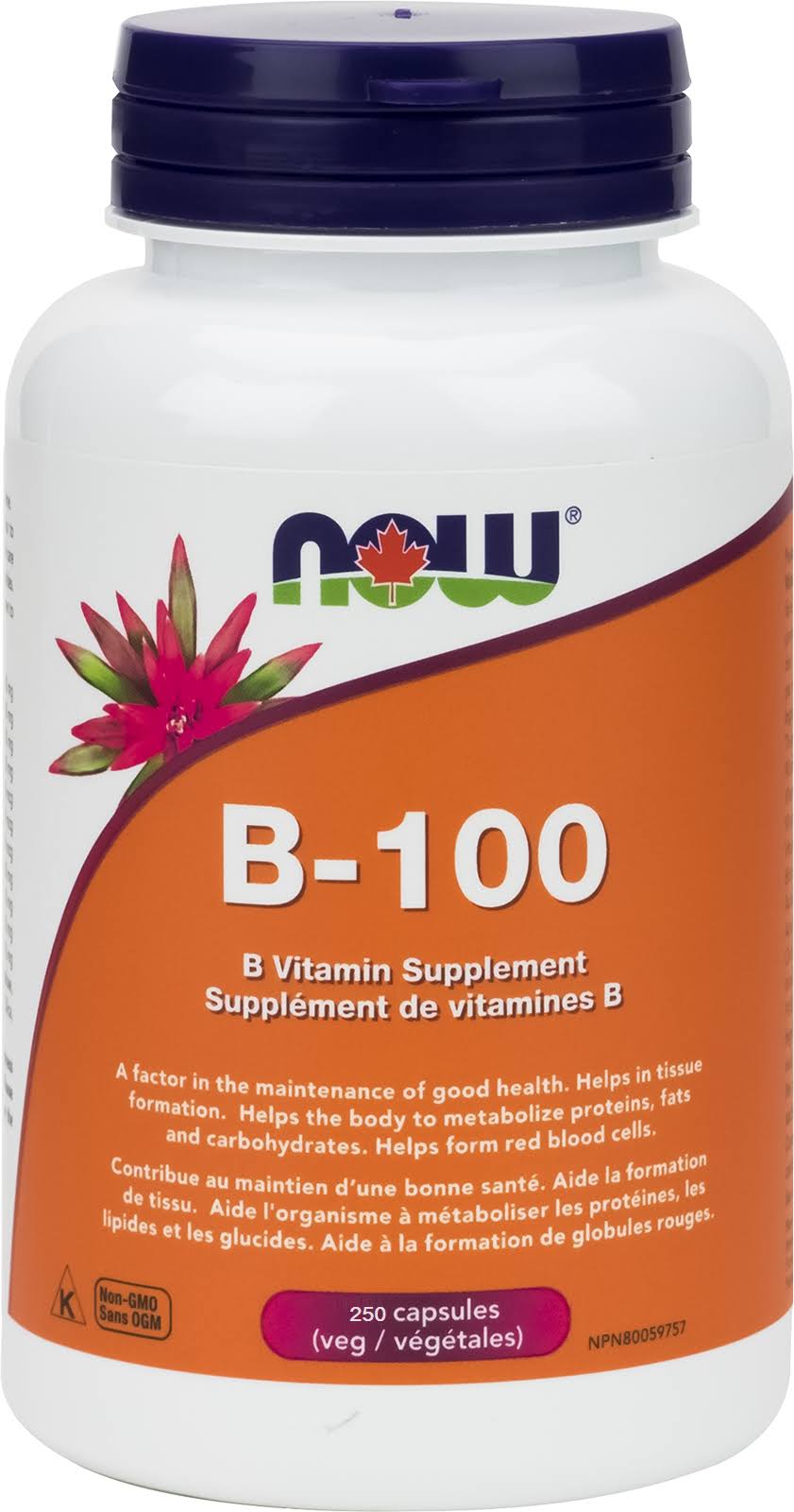 Now Foods Vitamin B-100 Supplement - 250 Capsules