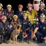 California Firefighters Rescue Blind Dog from Construction Site After Pet Falls into Deep Hole