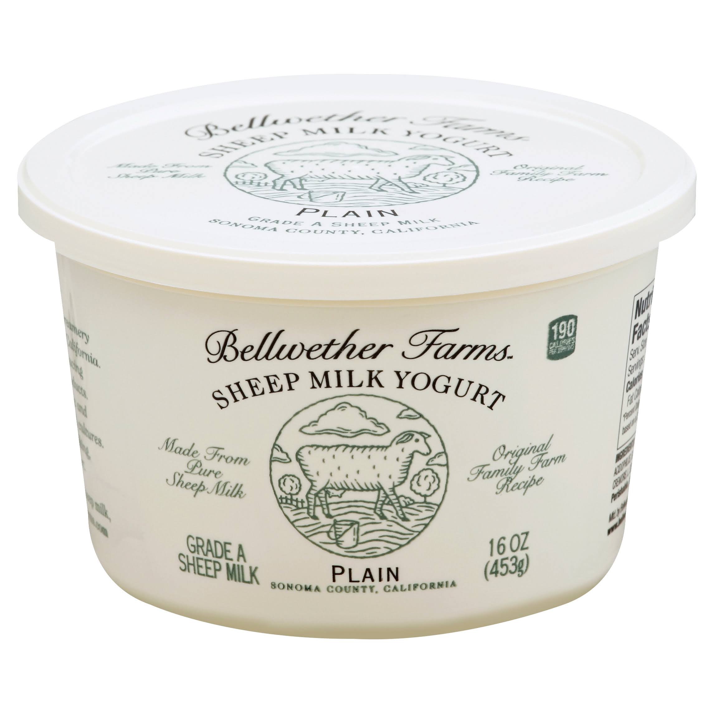 Bellwether Farms Sheep Milk Yogurt, Plain - 16 oz tub