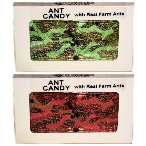 Hotlix Apple Ant Farm Candy