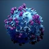 Immune system: Image of antigen-bound T-cell receptor at atomic resolution
