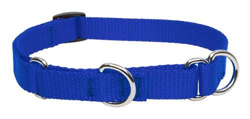 LupinePet 3/4-Inch Blue 14-20-Inch Martingale Combo Collar for Medium to Large Dogs