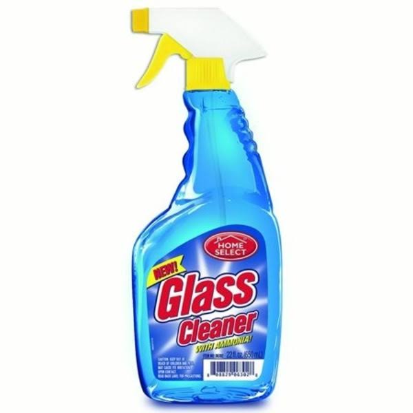 Glass Cleaner with Ammonia - 22 oz bottle