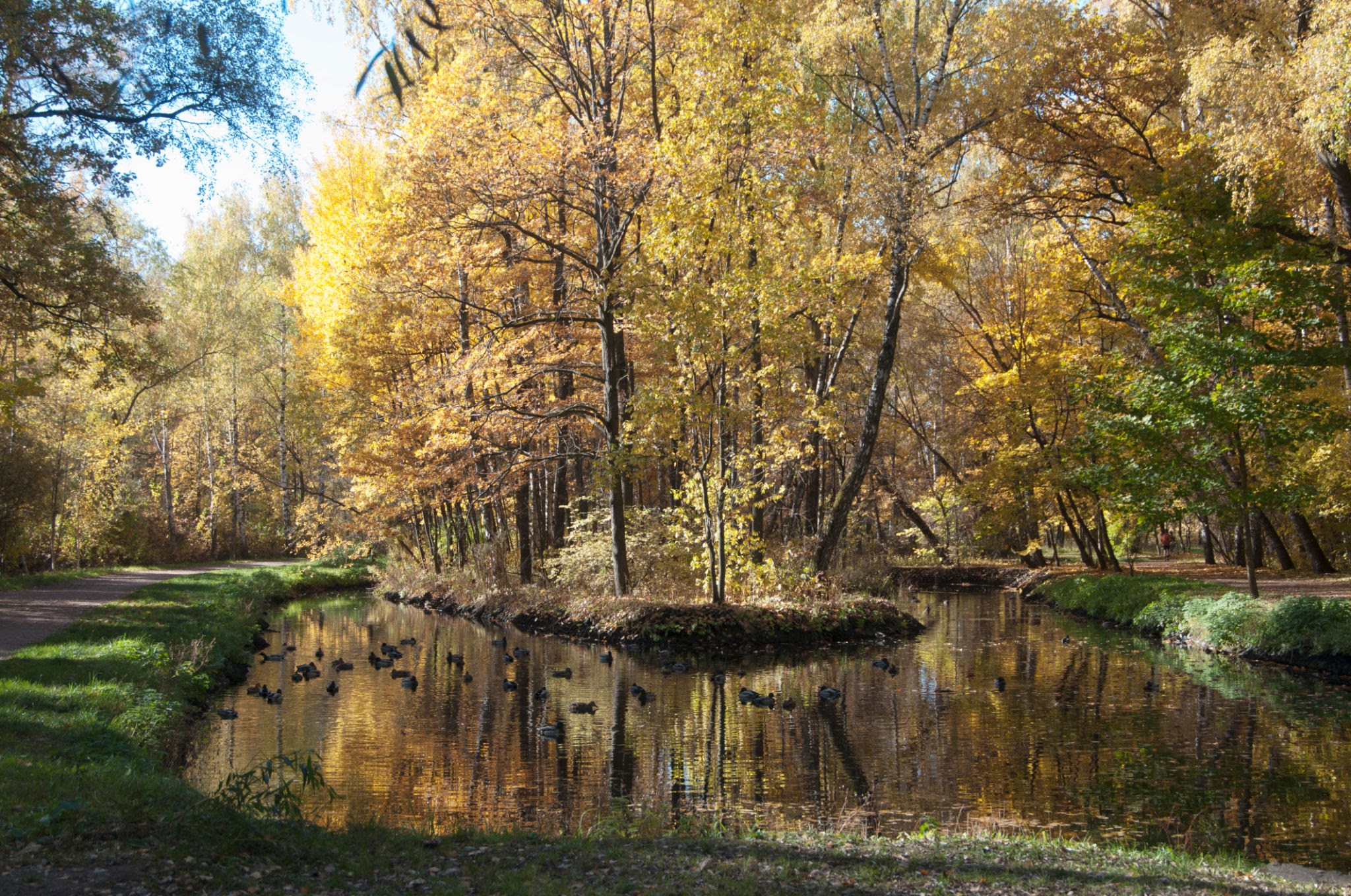 Sokolniki Park