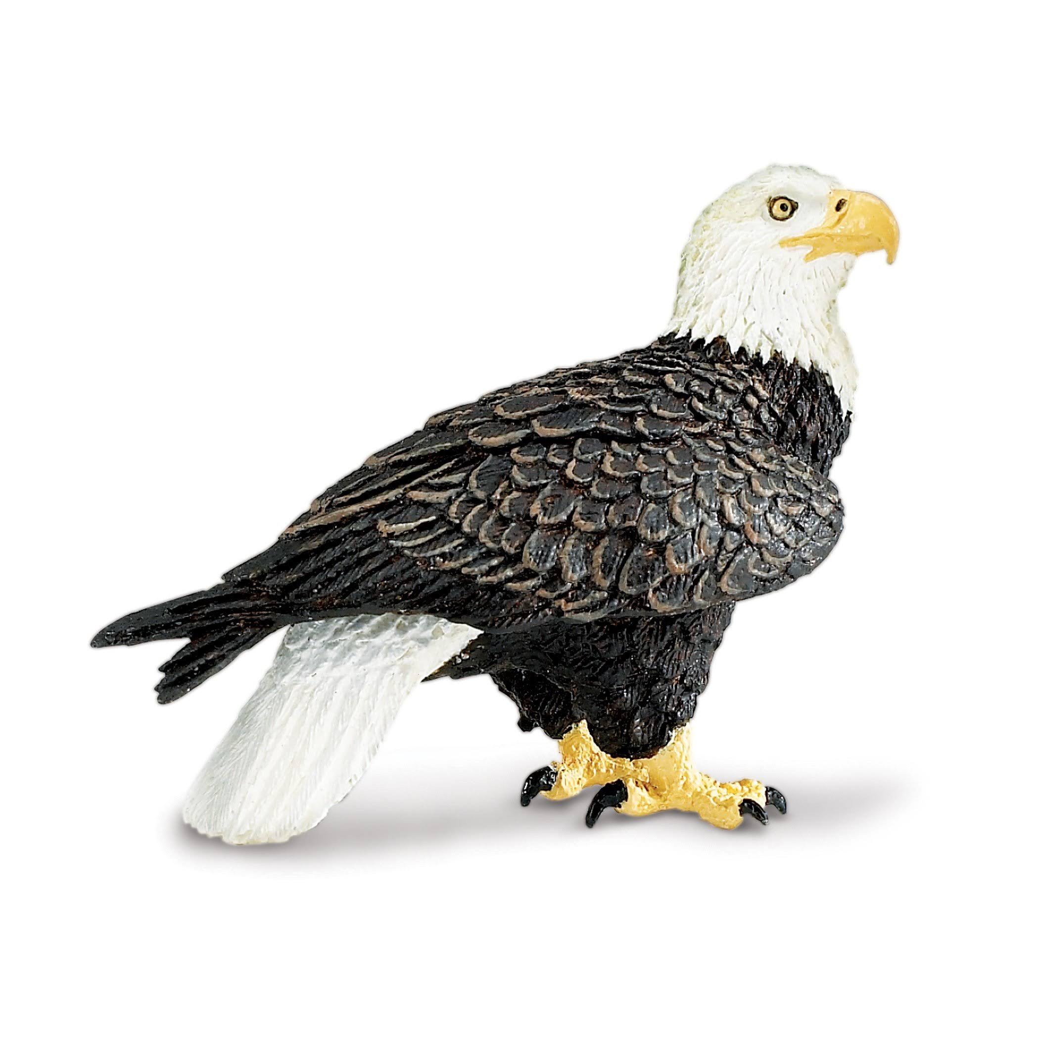 Safari Ltd Wings of the World Bald Eagle