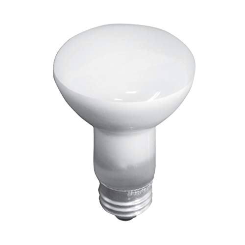 GE Indoor Floodlight Bulb - Soft White, 45w, x2