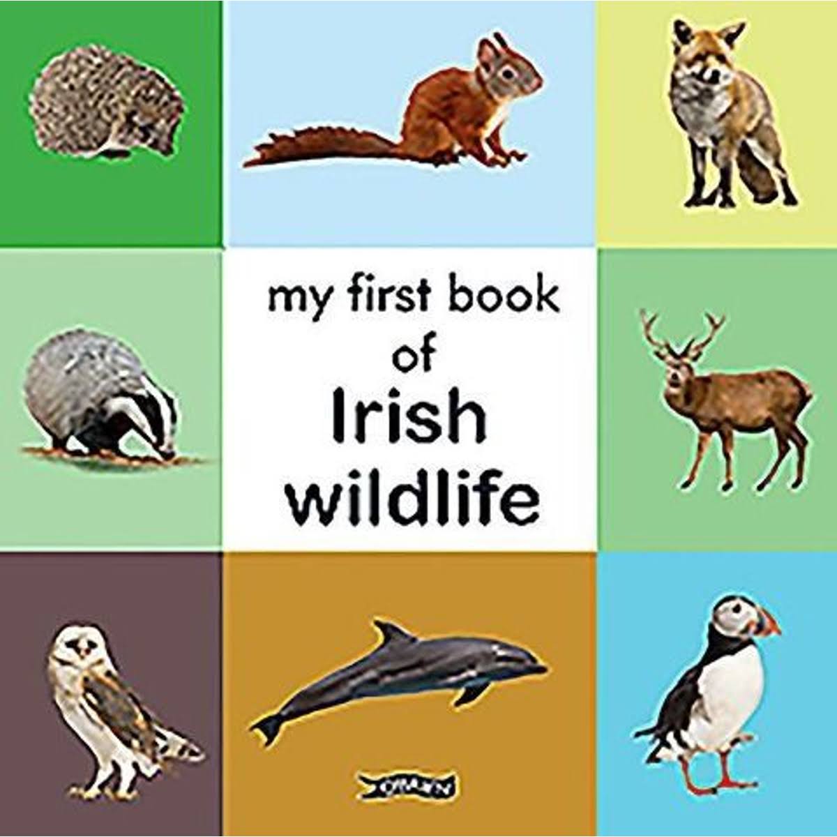 My First Book of Irish Wildlife [Book]