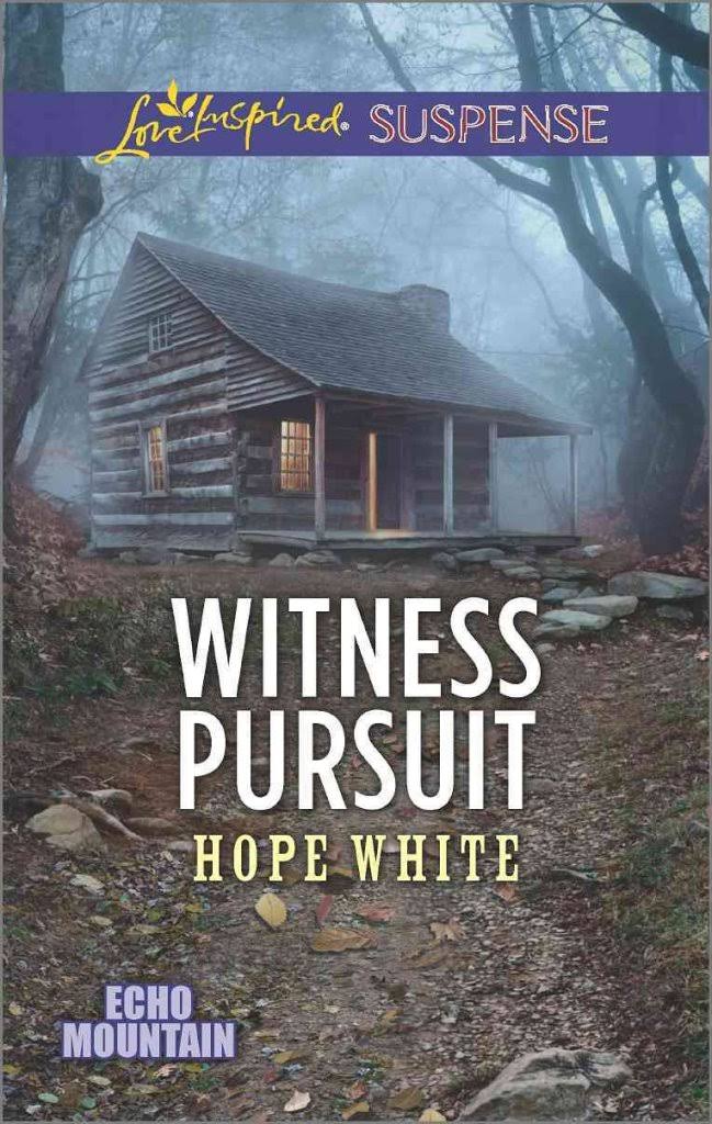 Witness Pursuit [Book]