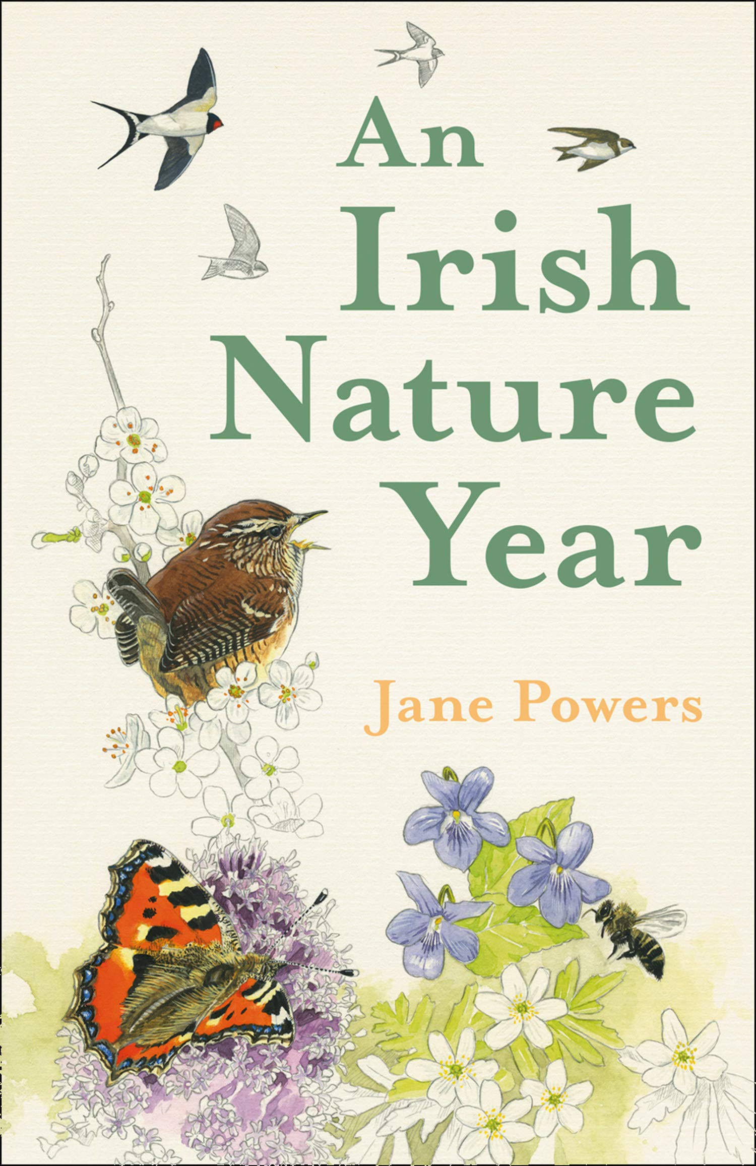 An Irish Nature Year [Book]