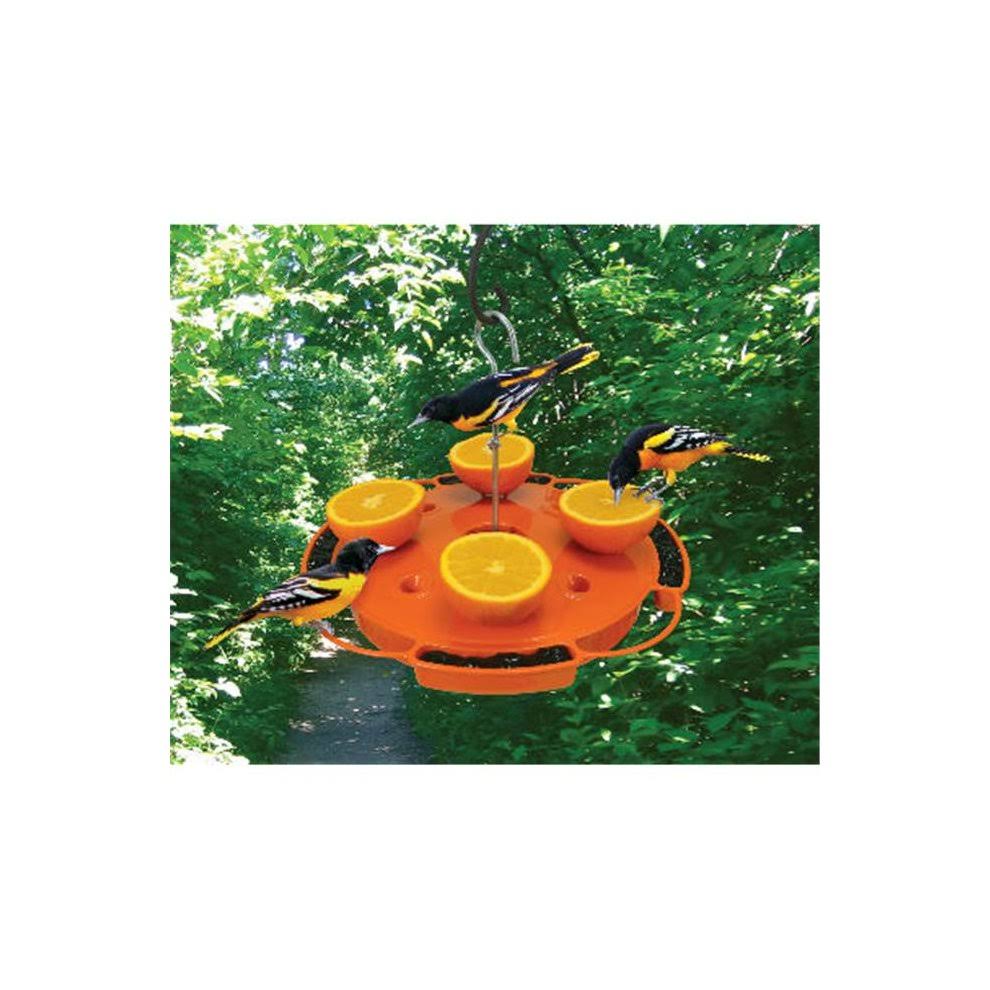 Songbird Essentials Fruit and Jelly Oriole Feeder