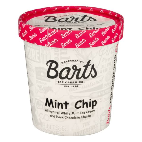 Bart's Ice Cream Co. Ice Cream Mint Chip - 16 oz