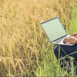 Technology Is Forging the Future Of India's Farming Practices, Here's How