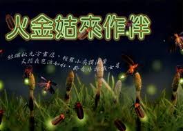 【投票】2011卓蘭螢火蟲季圖聚意向調查~煩請有意參加者投票