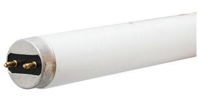 General Electric Fluorescent Bulb - Cool White, 15W