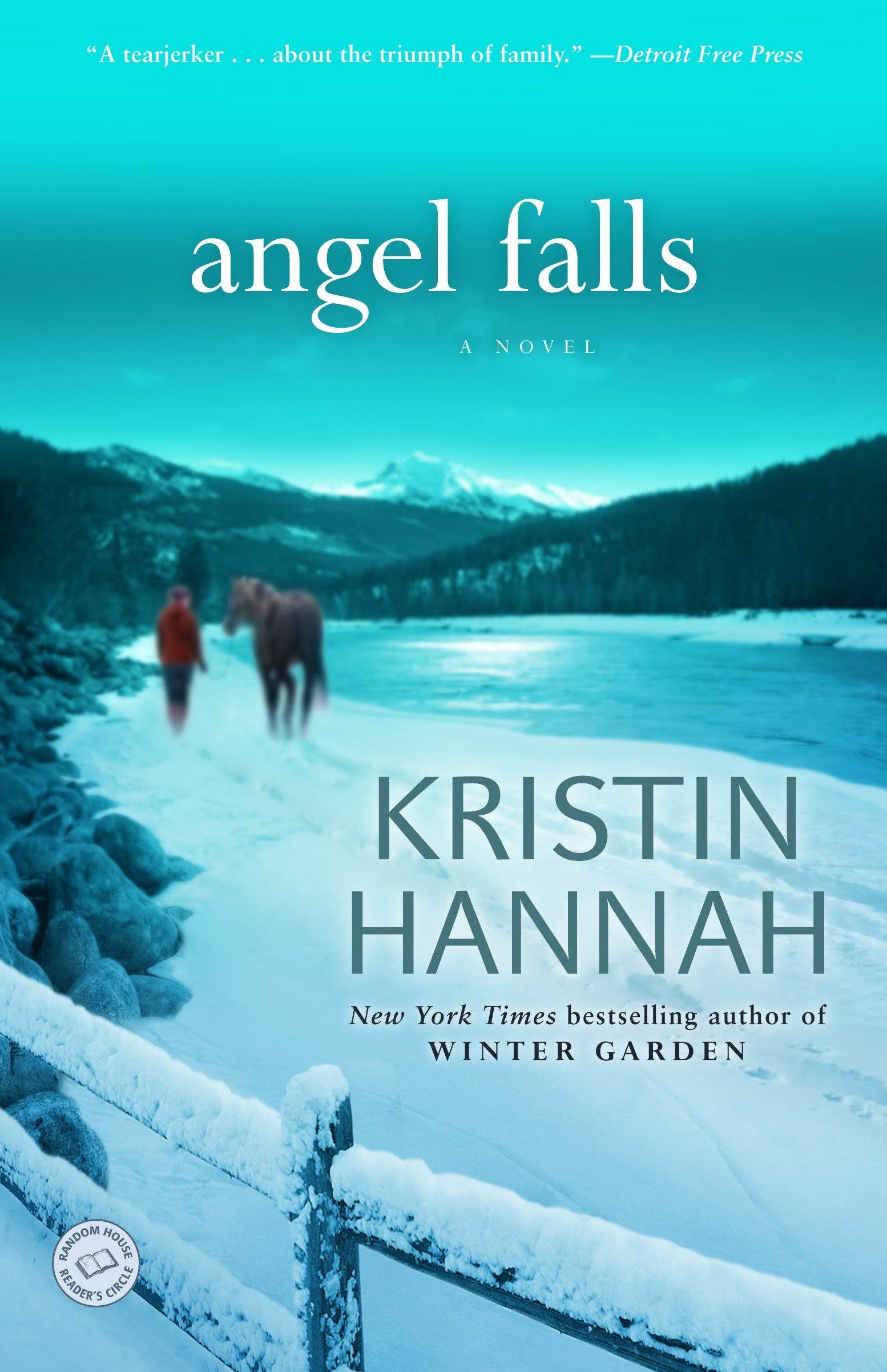Angel Falls: A Novel [Book]