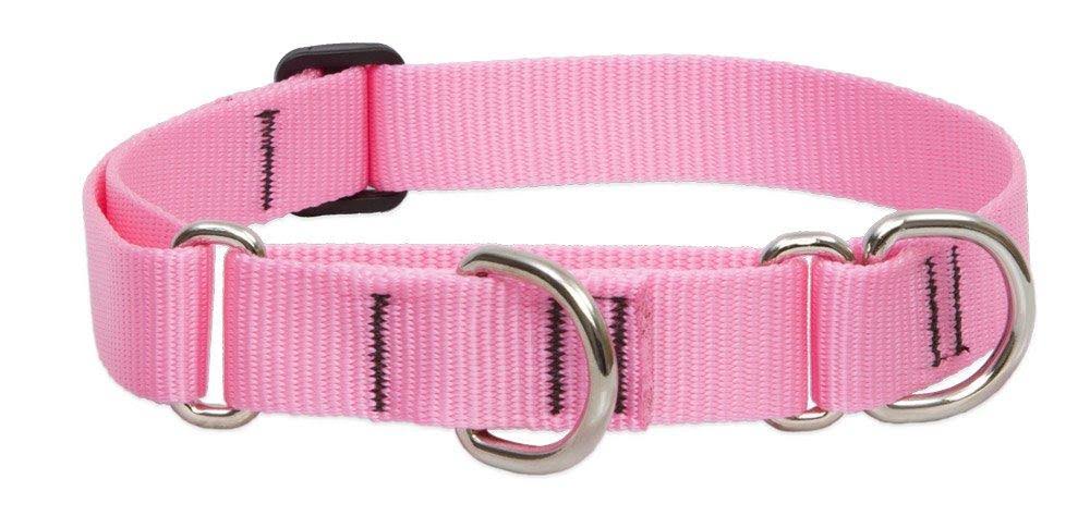 LupinePet Basics Pink Martingale Dog Collar 15"-22" Martingale Collar