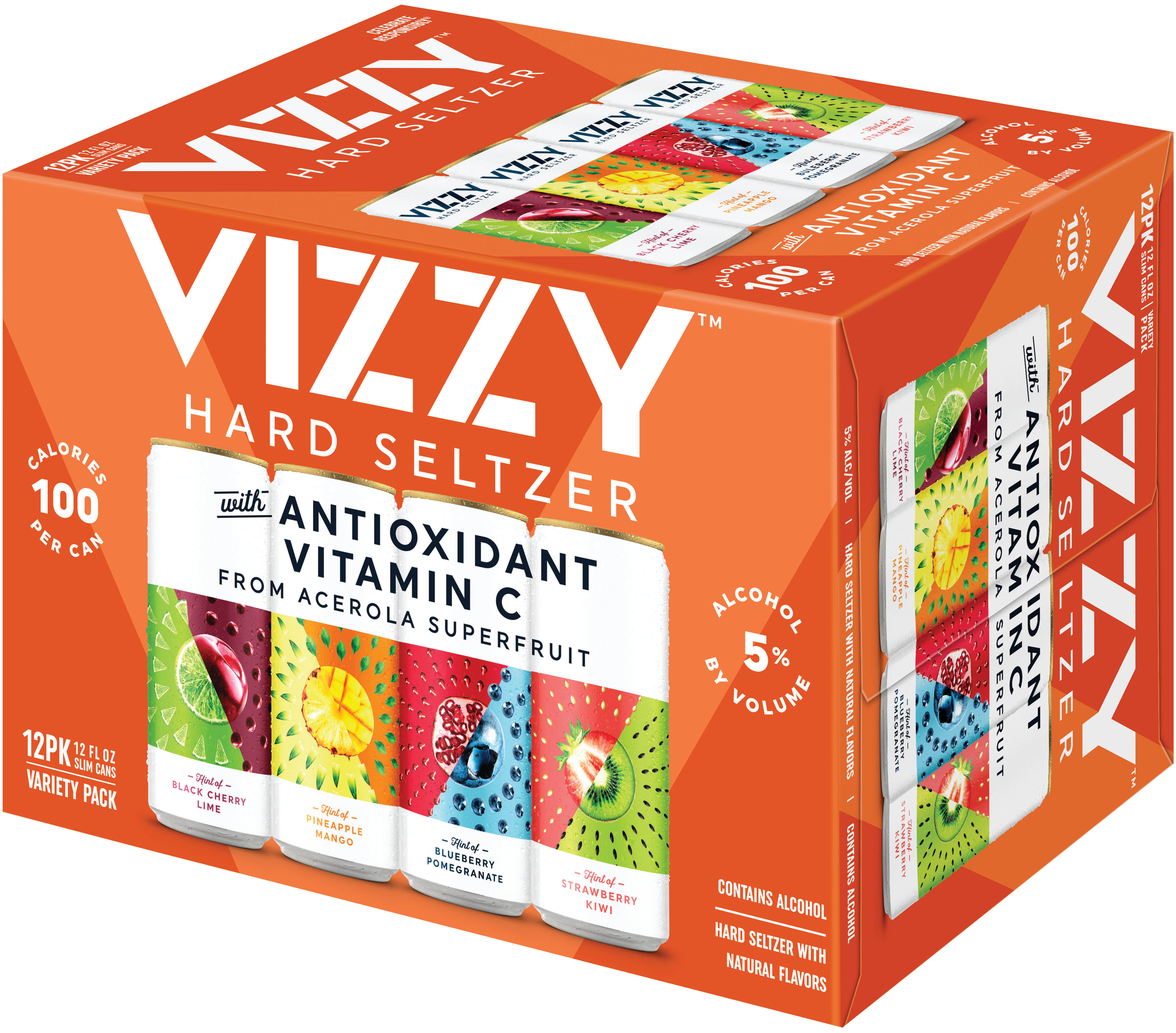 Vizzy Beer, Hard Seltzer, Variety Pack - 12 pack, 12 fl oz slim cans
