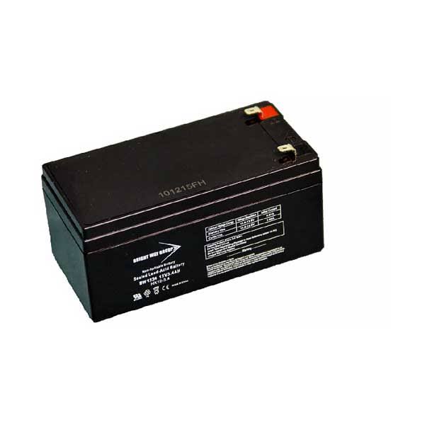 Bright Way Group BW 1234 12V 3.4Ah Rechargeable Sealed Lead Acid Battery with F1 Terminals