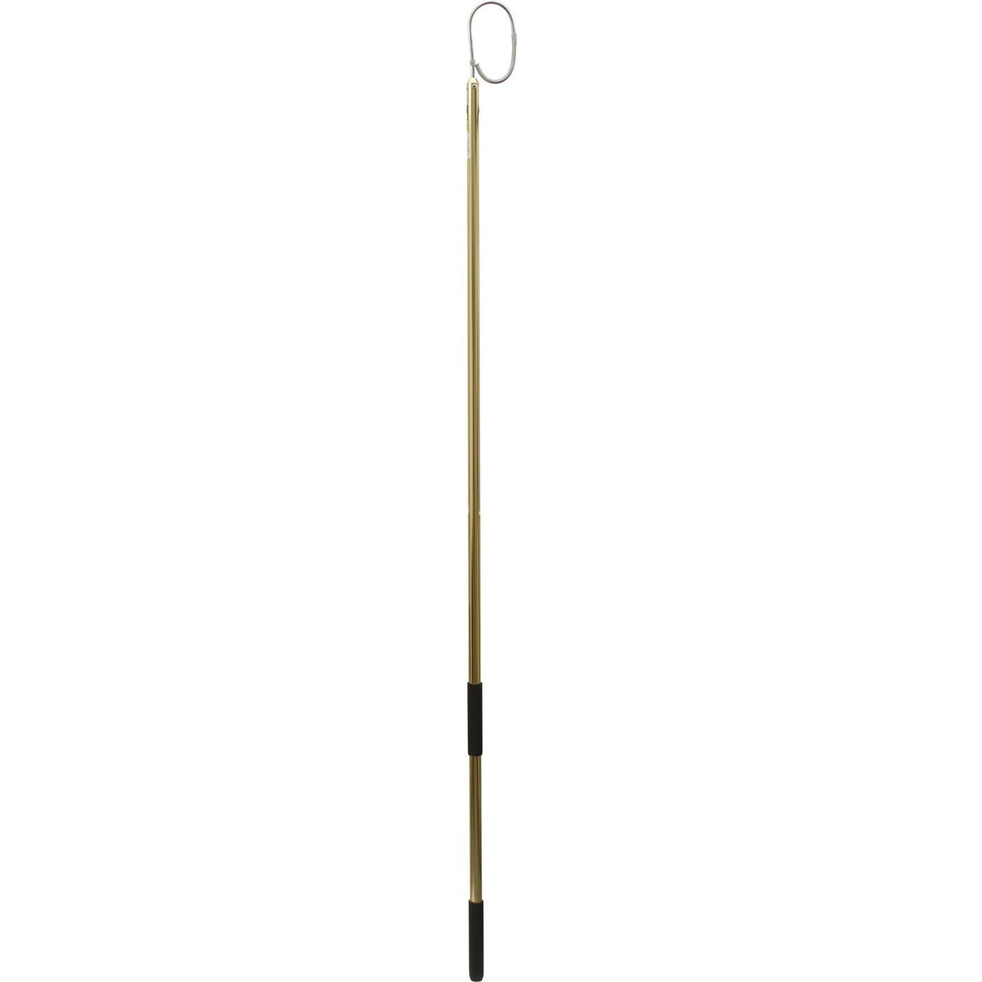 Sea Striker SS372G Gold Gaff Fishing Hook | Boating & Fishing | Delivery Guaranteed | Free Shipping on All Orders | Best Price Guarantee