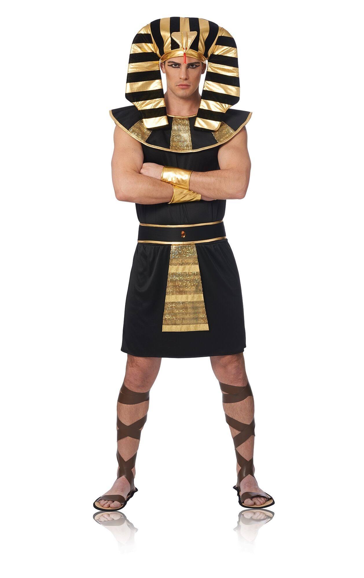 Costume Culture Men's Pharaoh Costume, Black, Standard