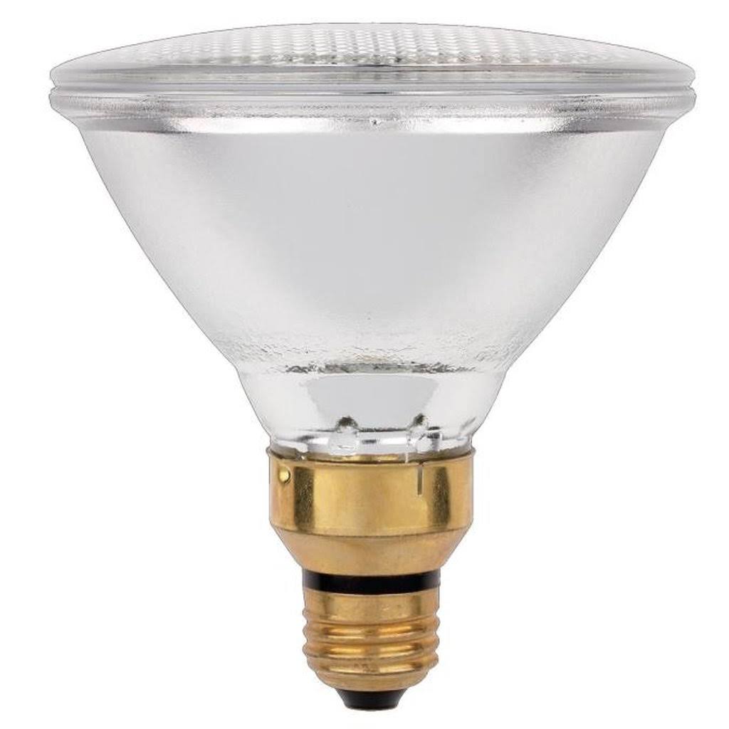 Westinghouse eco-PAR 38 W PAR38 Floodlight Halogen Bulb 550 lm Bright White 2 pk