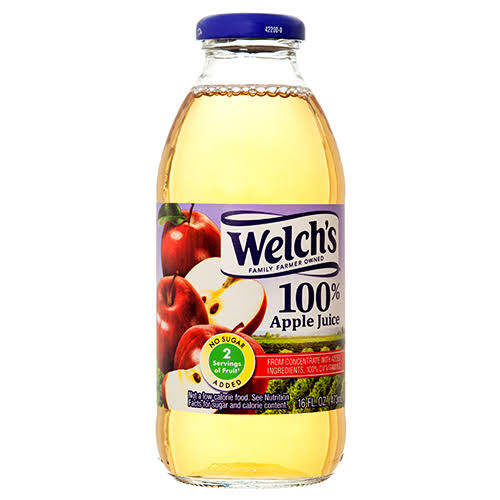 Welch's Fruit Punch Juice - 16 oz