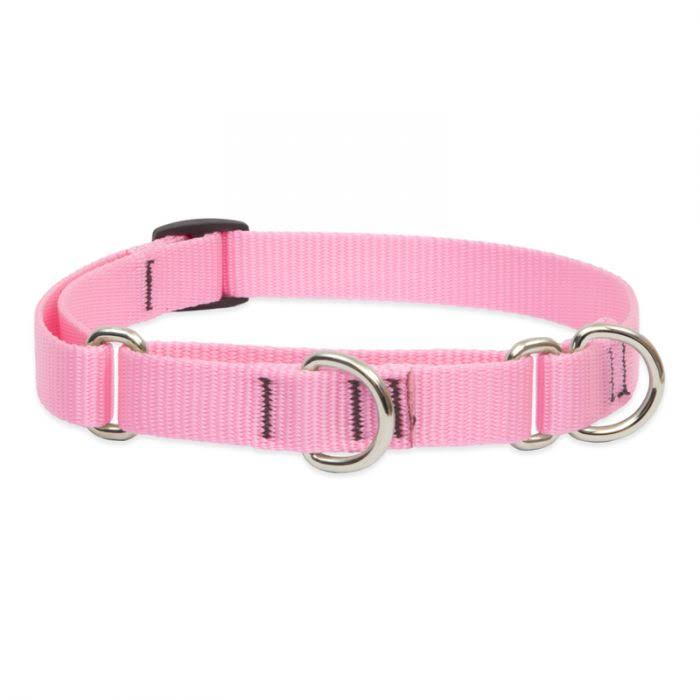 LupinePet Basics 3/4" Pink 10-14" Martingale Collar for Small Dogs