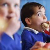 Junk food cap demanded for school lunches