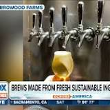 Craft brewers' latest challenge: Carbon dioxide shortage