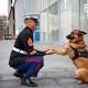 US Marine Corps dog Lucca given 'highest award' for military animals after service in Afghanistan 