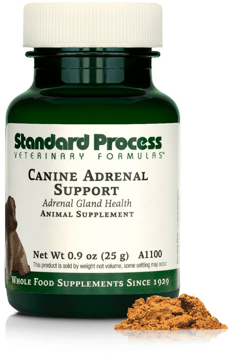 Canine Adrenal Support 25 Grams by Standard Process