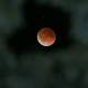 Blood moon eclipse lights up the night sky