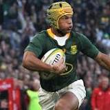 South Africa: Kurt-Lee Arendse preparing for tough challenge on Springboks' end-of-year tour