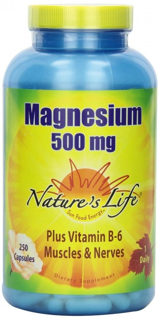 Nature's Life Magnesium 500mg Supplement - 250 Capsules