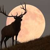 Supermoon July 2022: Significance of Buck Moon and when can you watch it