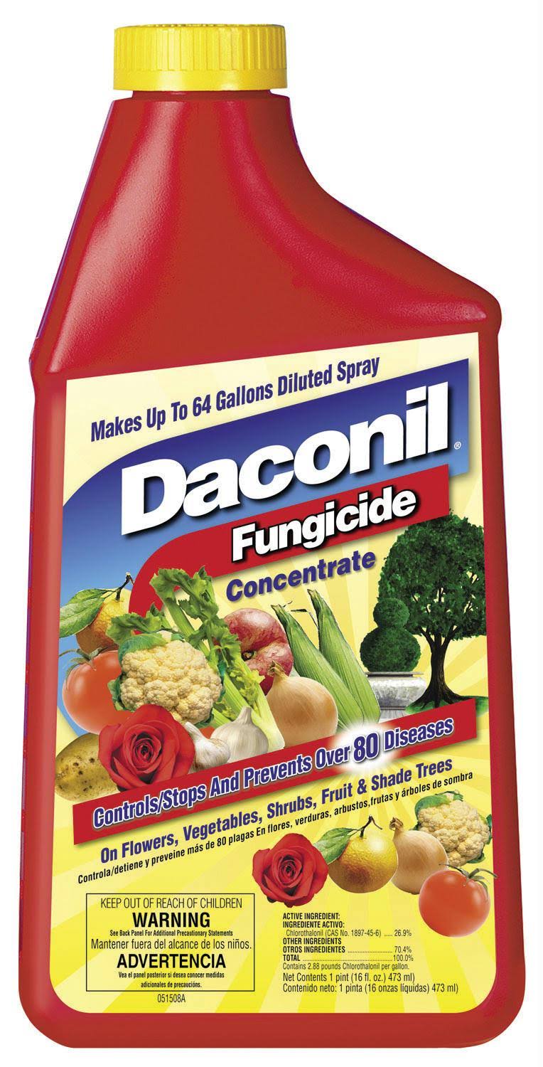 Daconil Fungicide Concentrate - 16oz